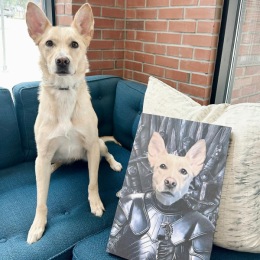 Meet our July pet of the month, Brinn! 🐾
“My name is Brinn because I’m named after Brienne of Tarth. My mom is a huge Game of Thrones fan and thinks I’m a loving protector. I’m originally from Alabama but am a Carolina dog. Getting pets and treats from humans, especially kids, are my favorite things to do. I also love fetch, agility courses and dogs who play rough. And yes those are my real ears :)“
#downtownraleigh #petofthemonth #downtownliving #luxurylifestyle #luxuryliving Instagram post from @livedillonraleigh on July 01, 2024 10:24:02am